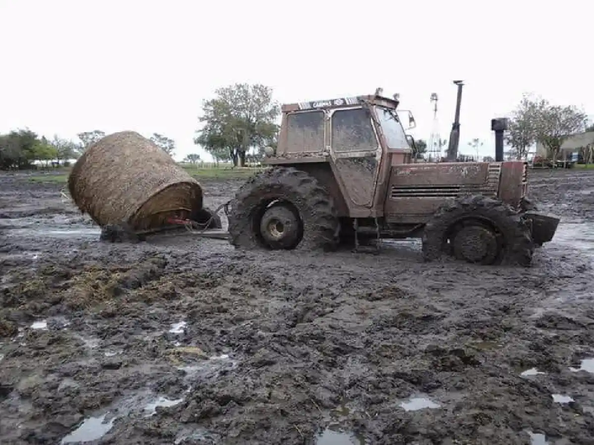 El titular de Carbap estimó pérdidas por US$ 1.500 millones a causa de las inundaciones