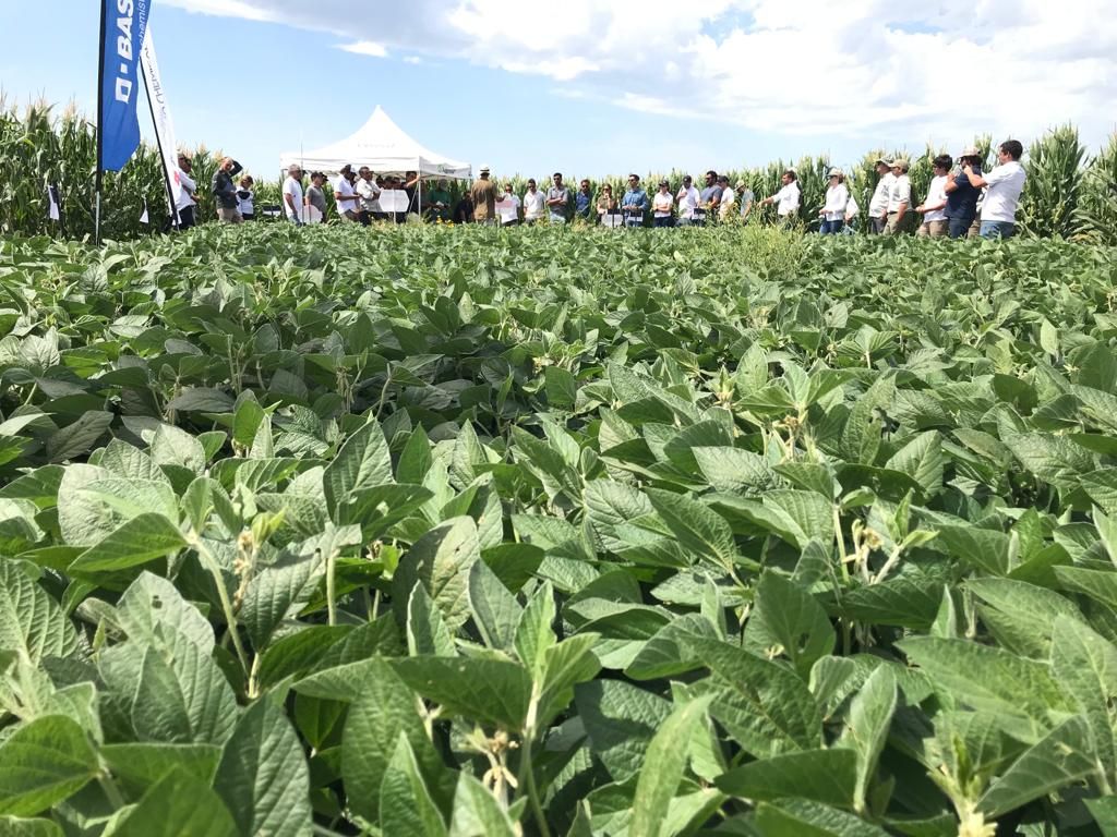 Un paseo por la agricultura digital enfocado en la gruesa