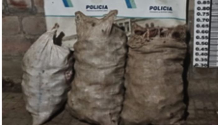 Detuvieron a cuatro personas con bolsas de batatas dentro de un campo, entre ellos un menor de edad