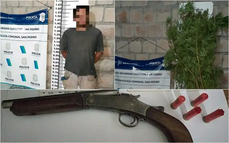 Detuvieron a un hombre que disparaba con un arma y en su casa le descubrieron un planta de marihuana