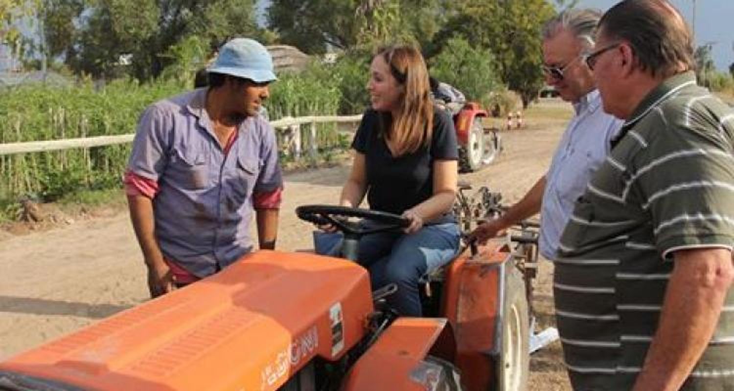 Una publicación de campaña de Vidal toma a un viverista sampedrino como ejemplo