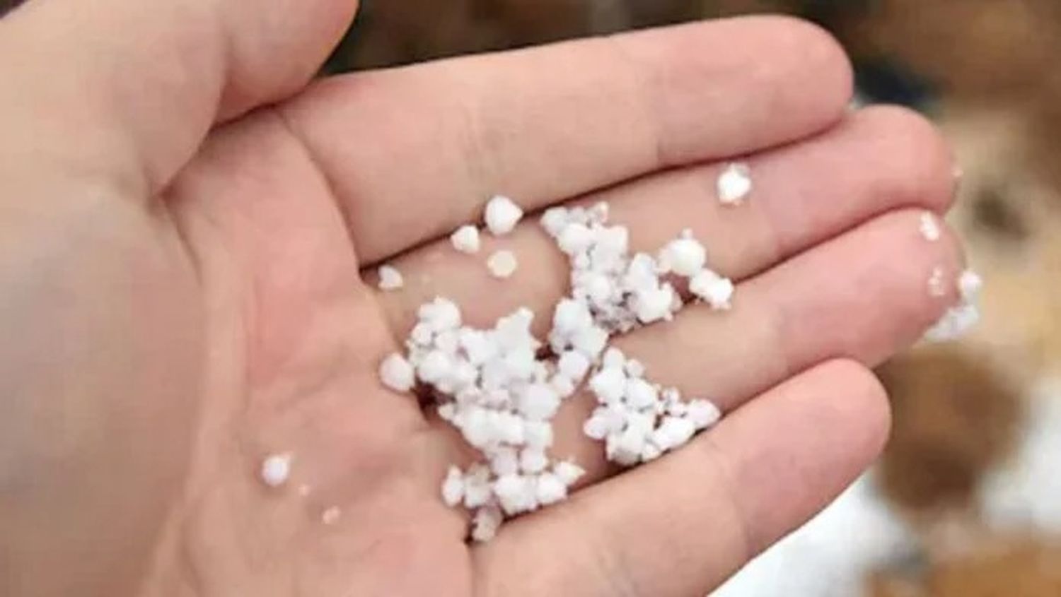 Alerta nieve en Mar del Plata: el graupel llegó a Miramar