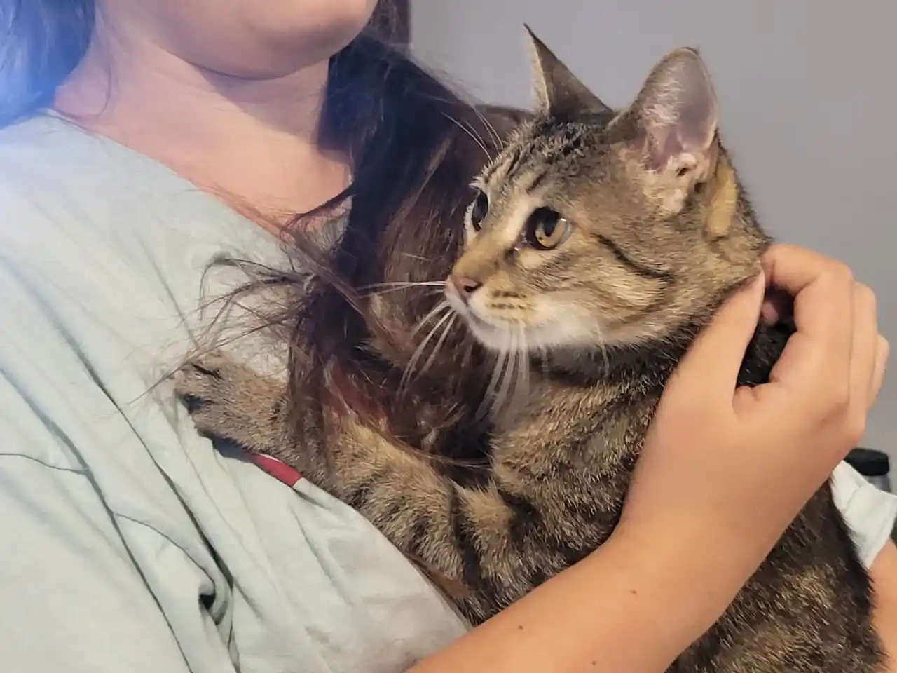 Desde el Municipio indicaron que se realizaron 3.588 castraciones y más de 300 atenciones primarias