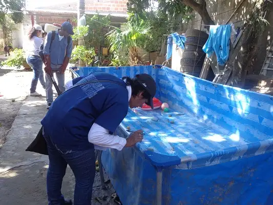 Alerta dengue: advierten que la prevención es el único camino 