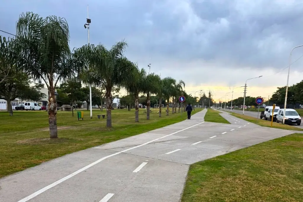 Operativo de limpieza de palmeras en el barrio 17 de Octubre