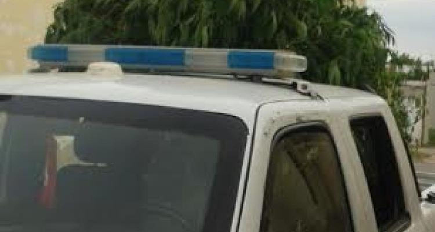 Secuestraron una planta de marihuana de 2 metros