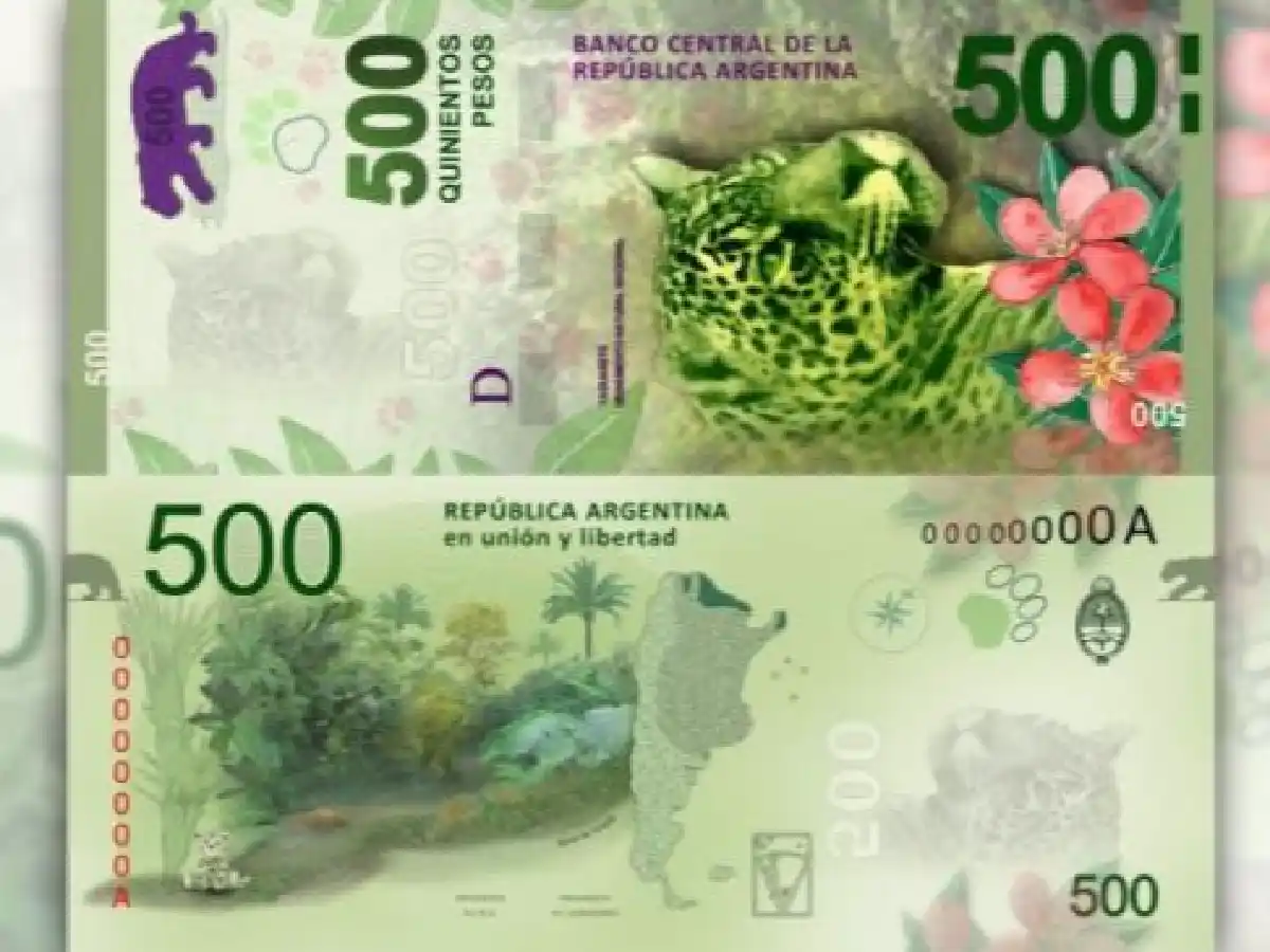 Aparecieron billetes falsos de 500: ¡cuidado! 