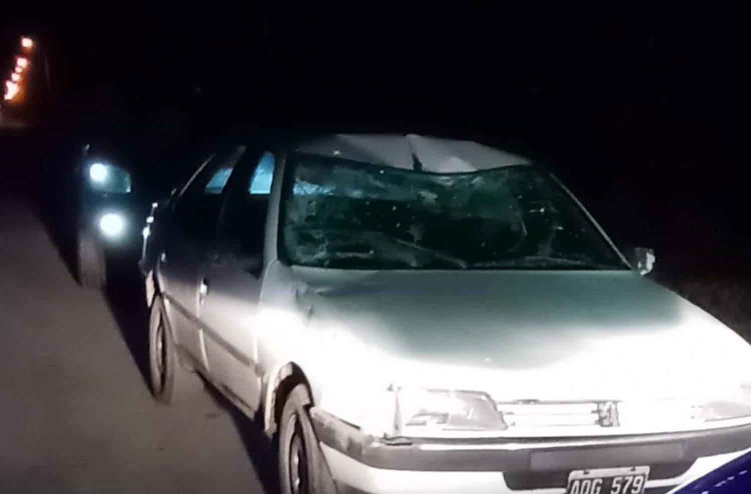 Un auto chocó un caballo en Las Dalias: una familia sufrió heridas