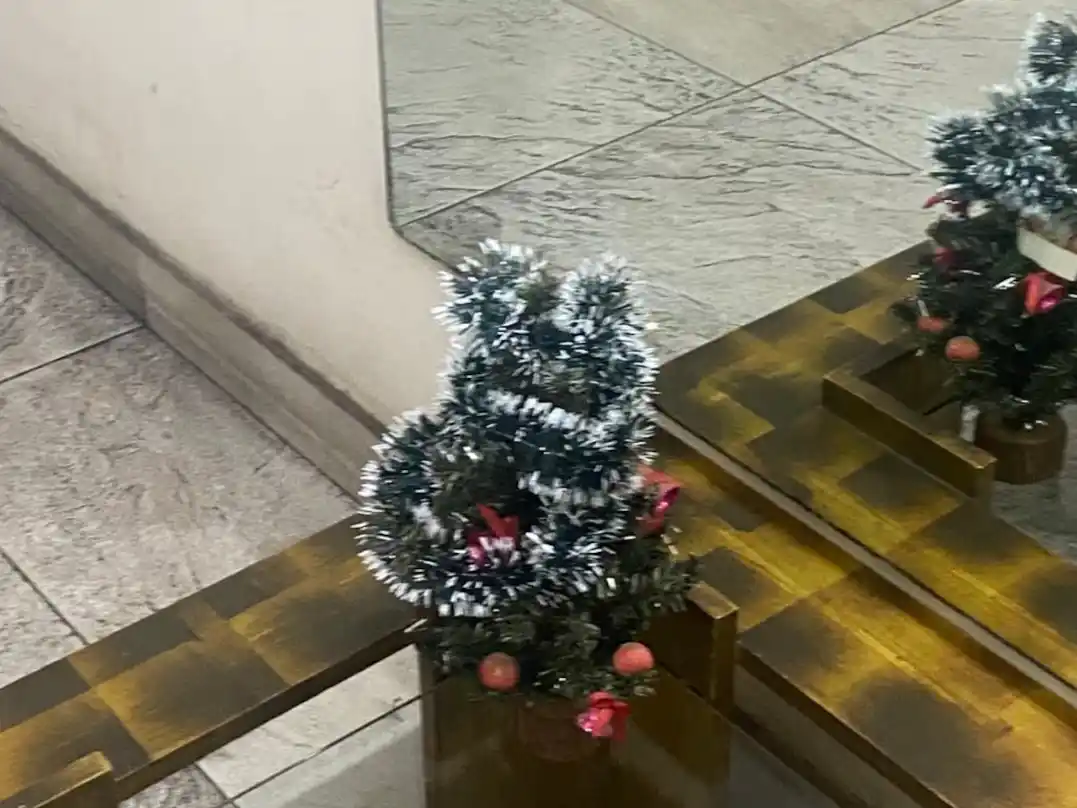 Indignación por el arbolito del edificio: “Si les digo lo que pago de expensas…”