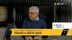 Teruggi, sobre el robo de cables: “La Ley es bastante beneficiosa para este tipo de delitos”