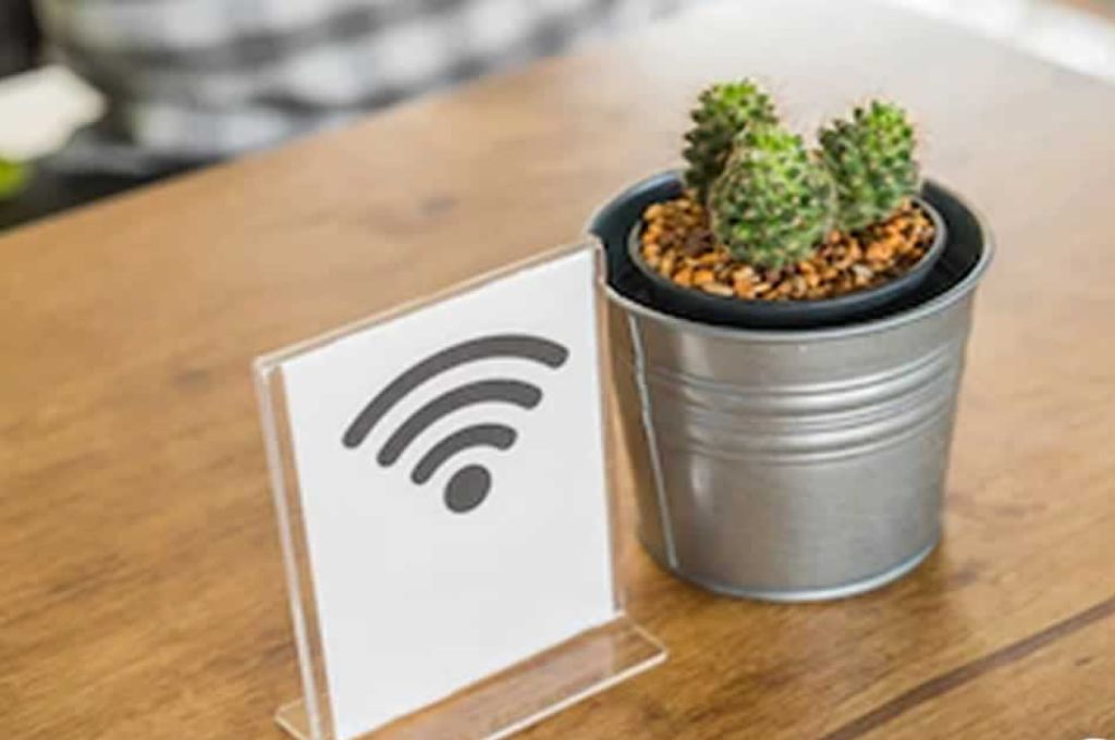 Descubren que los cactus pueden servir como antenas de wifi de banda ancha