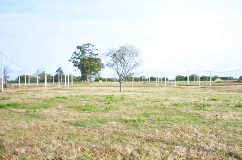 Venado propone un sistema transparente para acceder a terrenos para urbanizar