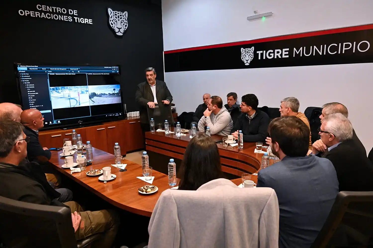 zamora tigre