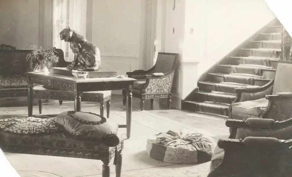 Una fotografía especial