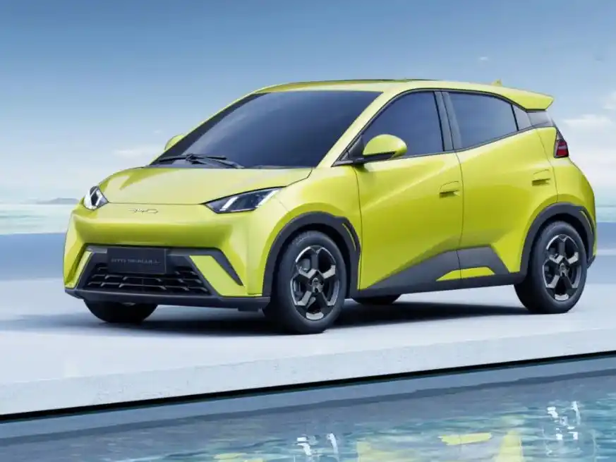 BYD fue la marca con mayor presencia entre los vehículos eléctricos patentados a lo largo del año.