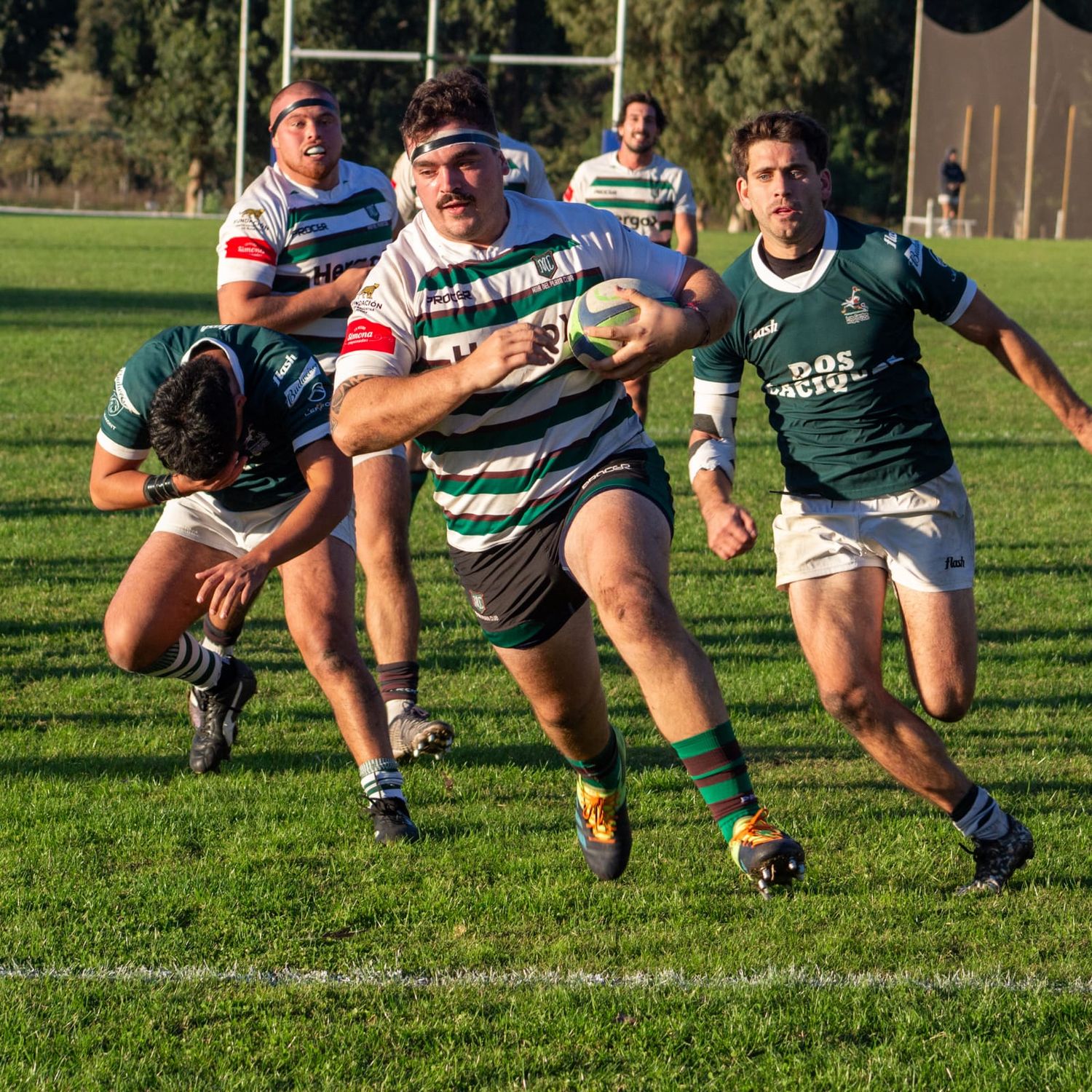 FOTO LA CAPITAL DE MAR DEL PLATA Los Cardos cayó en semifinales.