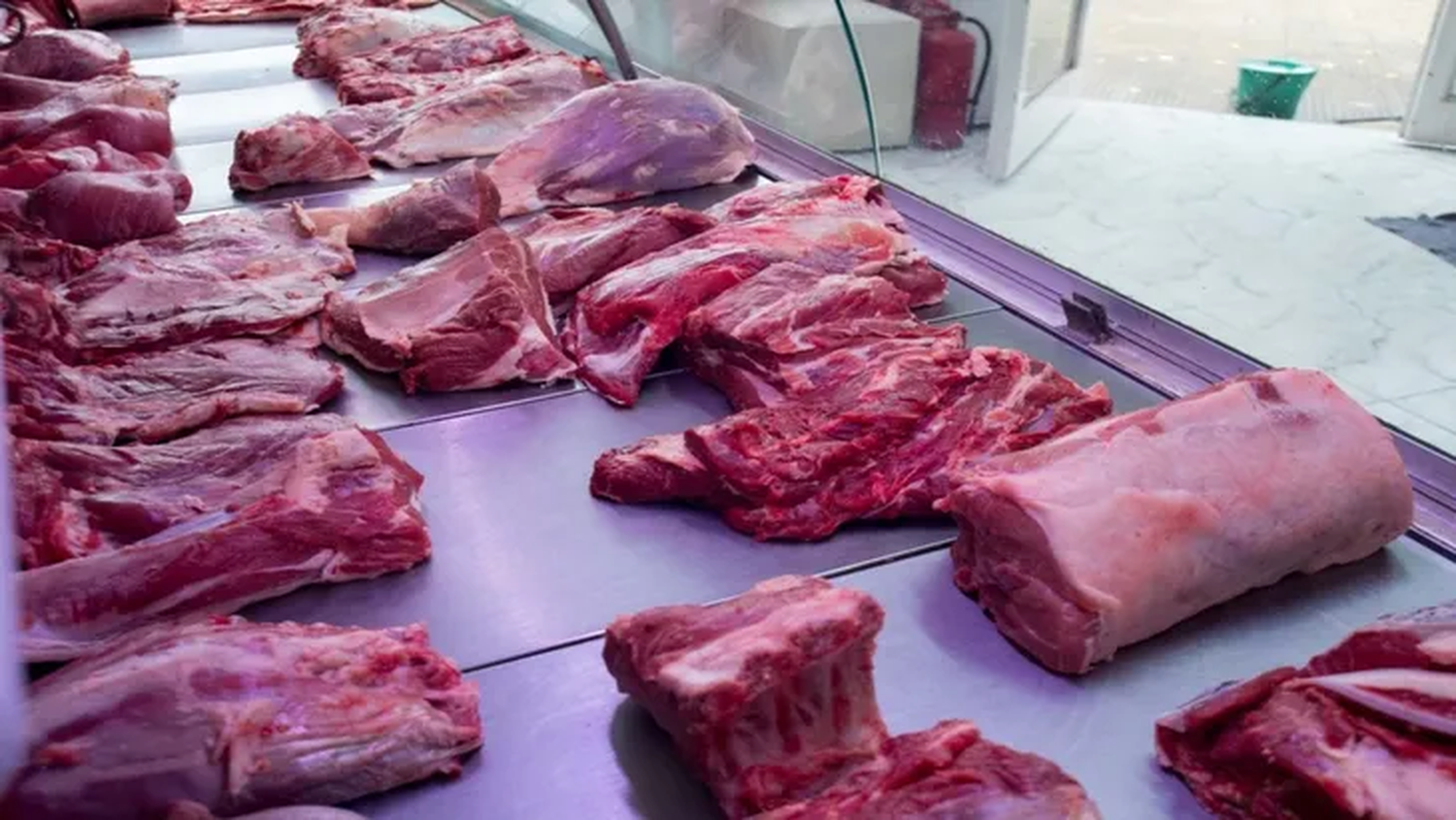 Intoxicación en Berazategui: confirmaron leptospirosis en dos de los afectados
