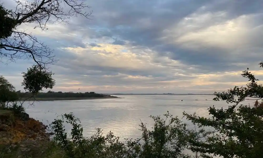 Diputados: Obtuvo dictamen la creación del Parque y Reserva Nacional “Laguna El Palmar”