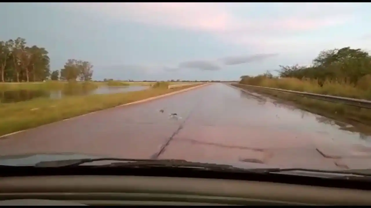 Agua sobre la Autovía 19