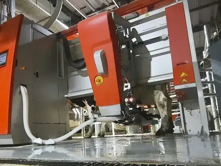 Tambo robot