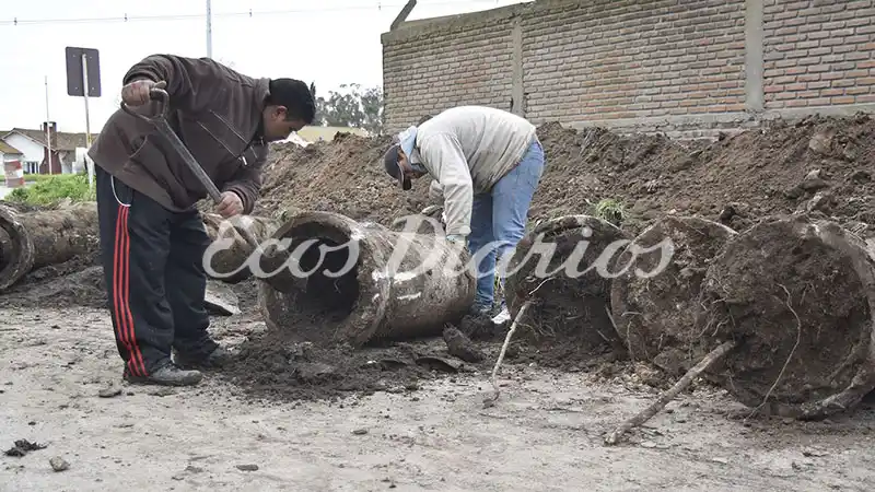 Destapan caños pluviales