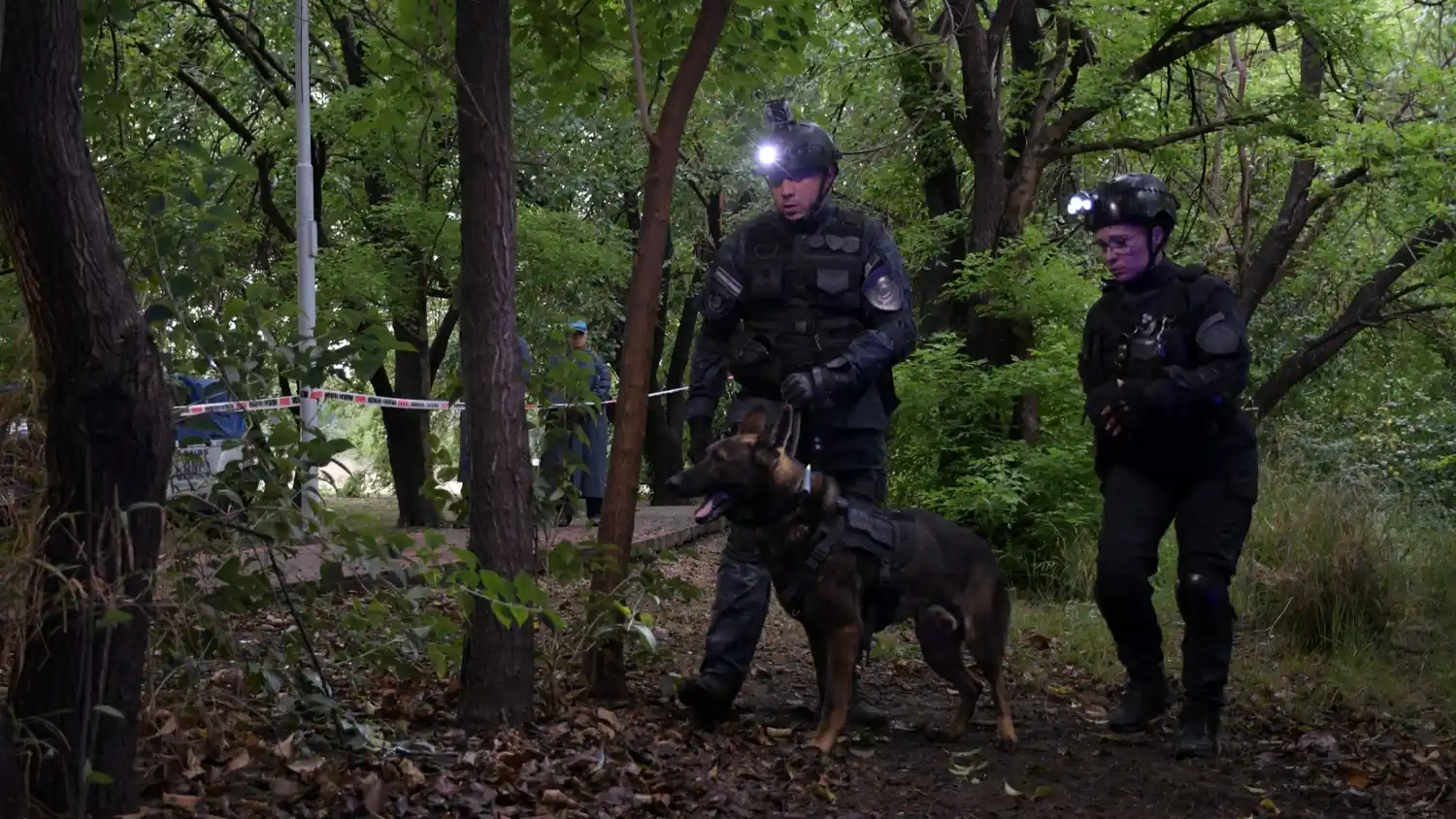 Perros entrenados de la División Canes de la Policía de Córdoba.
