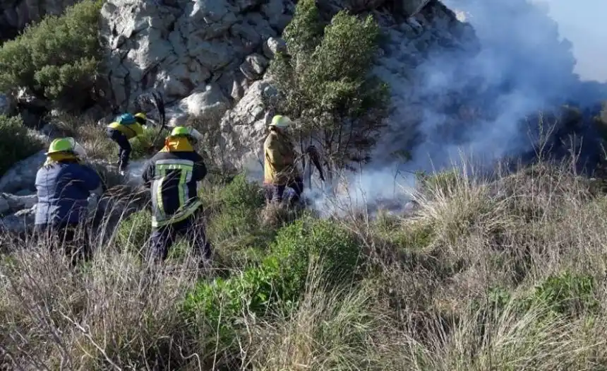 Un incendio forestal arrasó 30 hectáreas junto a la ruta 226