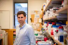 Usaron IA generativa para diseñar antibióticos inéditos contra la resistencia bacteriana