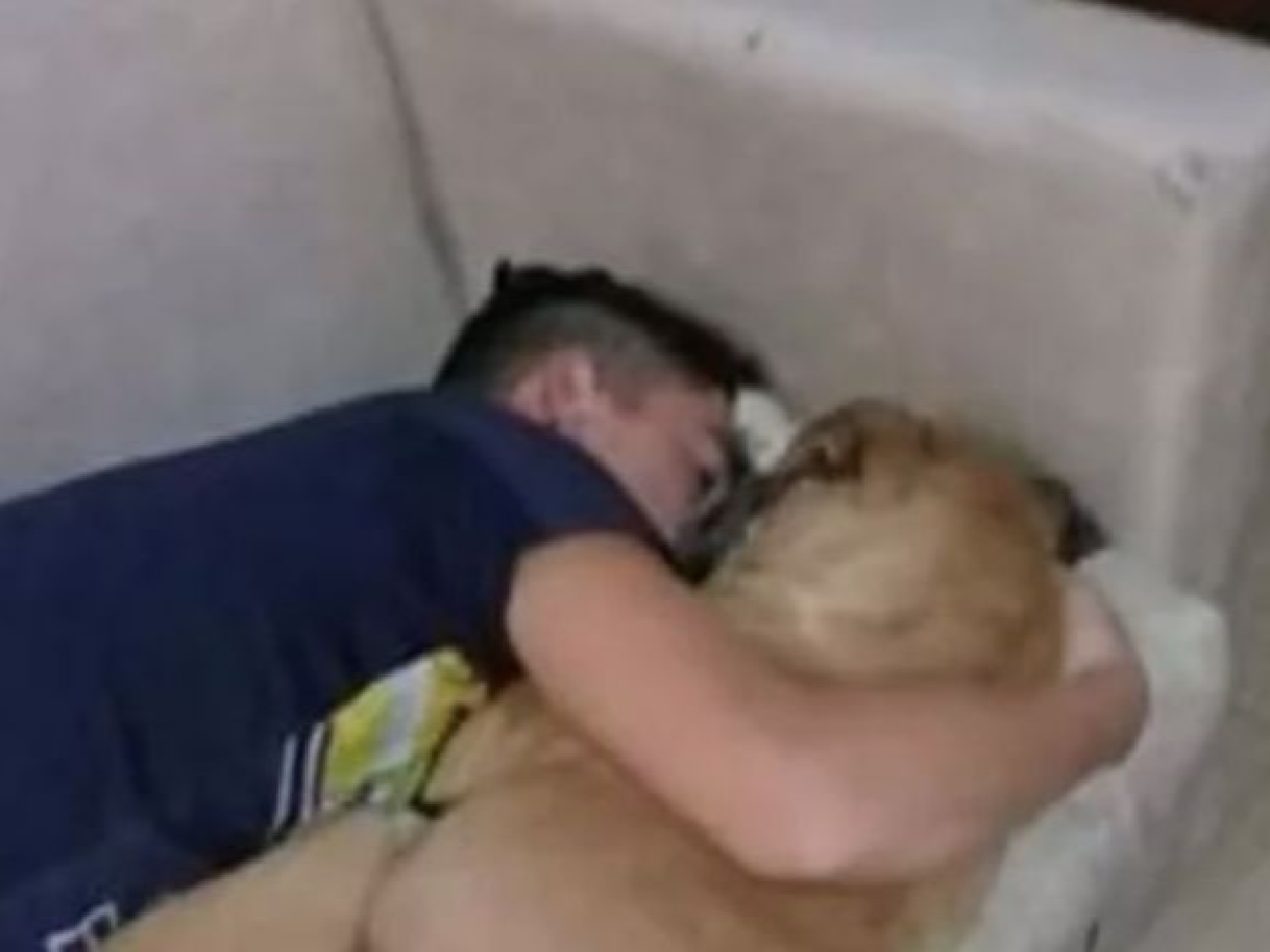 Indignación: una perrita falleció al lado de su dueño producto de la pirotecnia