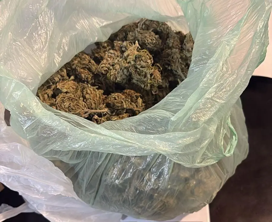 Operativo en ruta 3: interceptaron un rodado con medio kilo de marihuana