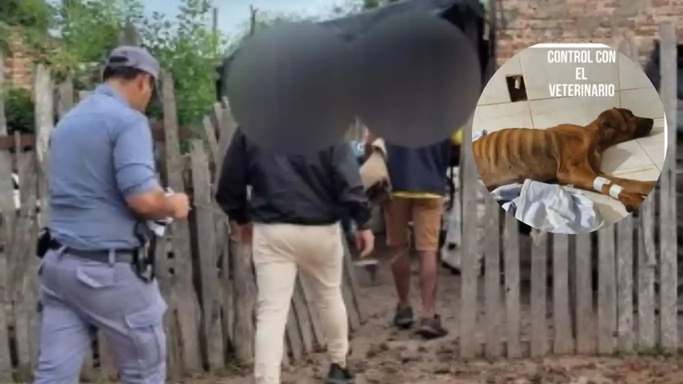 Un hombre fue detenido por maltrato animal en Palo Santo