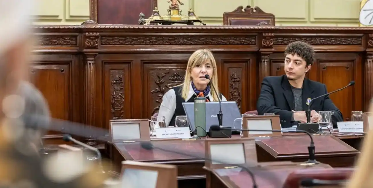 La vicepresidenta de la Convención Constituyente destacó la participación ciudadana.