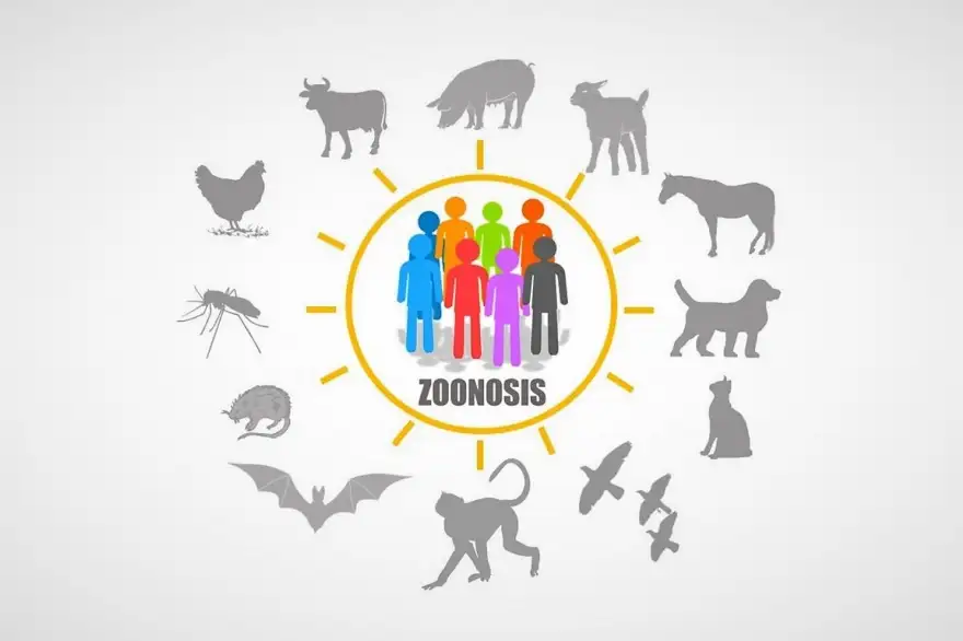 La OMSA alerta sobre el aumento global de enfermedades animales con potencial de contagio a humanos