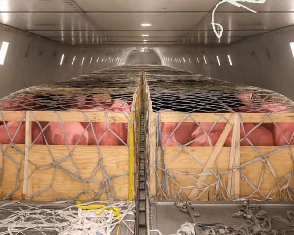 Un Boeing 747 transporta 1.200 cerdos al otro lado del mundo