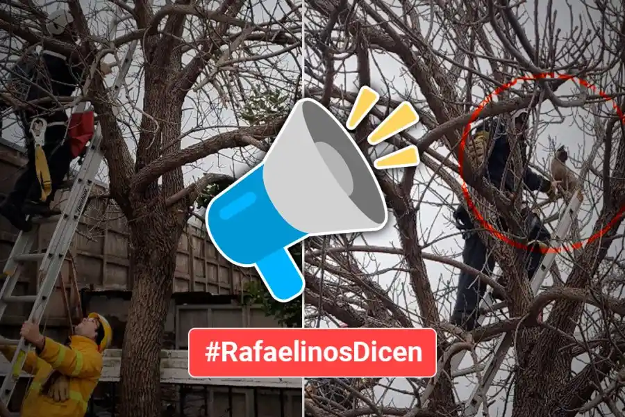 #RafaelinosDicen | "Quería dejar mi mensaje de agradecimiento a los Bomberos Voluntarios de Rafaela"
