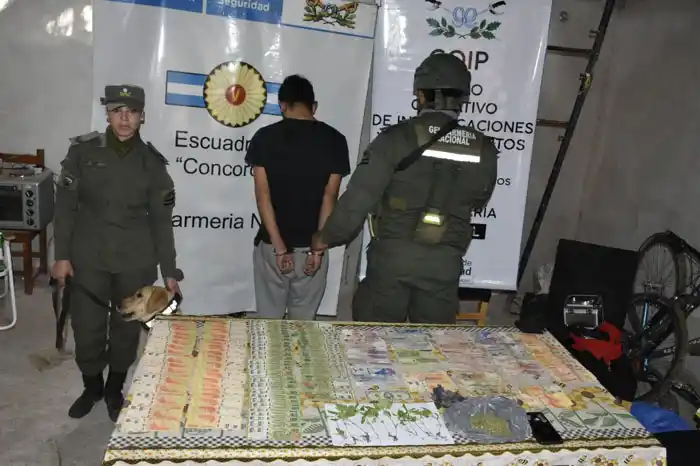 Se registraron cinco domicilios vinculados   al comercio de estupefacientes
