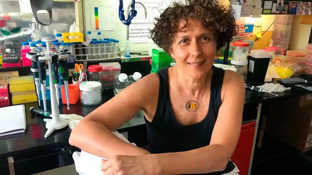 Andrea Gamarnik fue reconocida como "Investigadora de la Nación Argentina 2022"