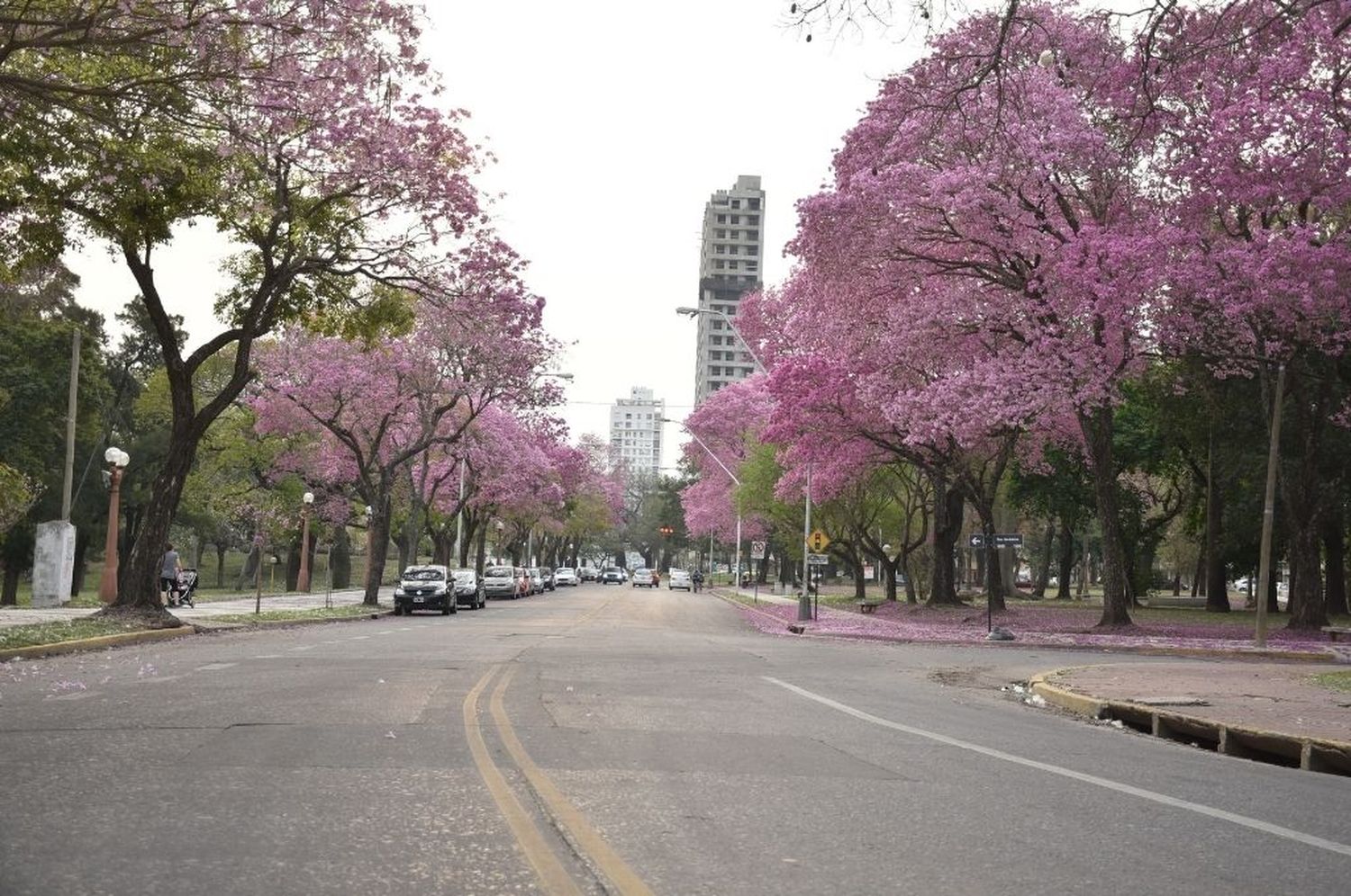 Buscan reducir la circulación nocturna en Santa Fe por el coronavirus