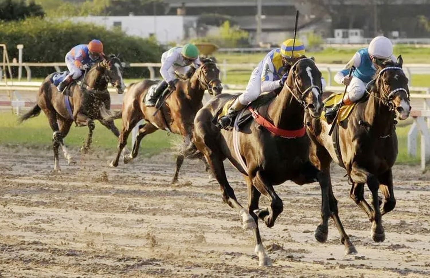 Viernes 12: Actividad Hipódromo de Palermo