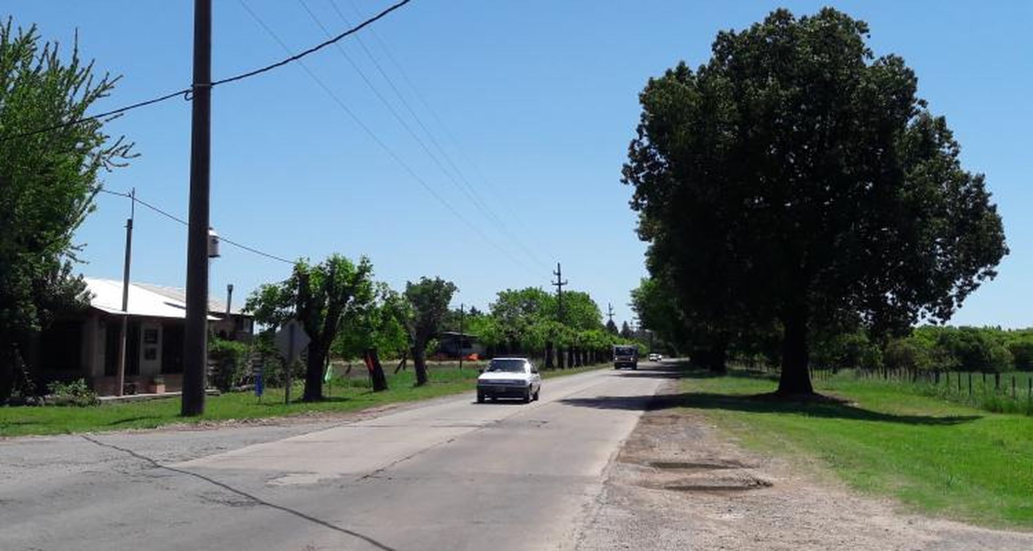 Ruta 191: Frenaron en un comercio con su camioneta, cargaron macetas y se fueron sin pagar