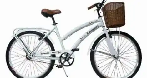 Julieta quiere recuperar su bici