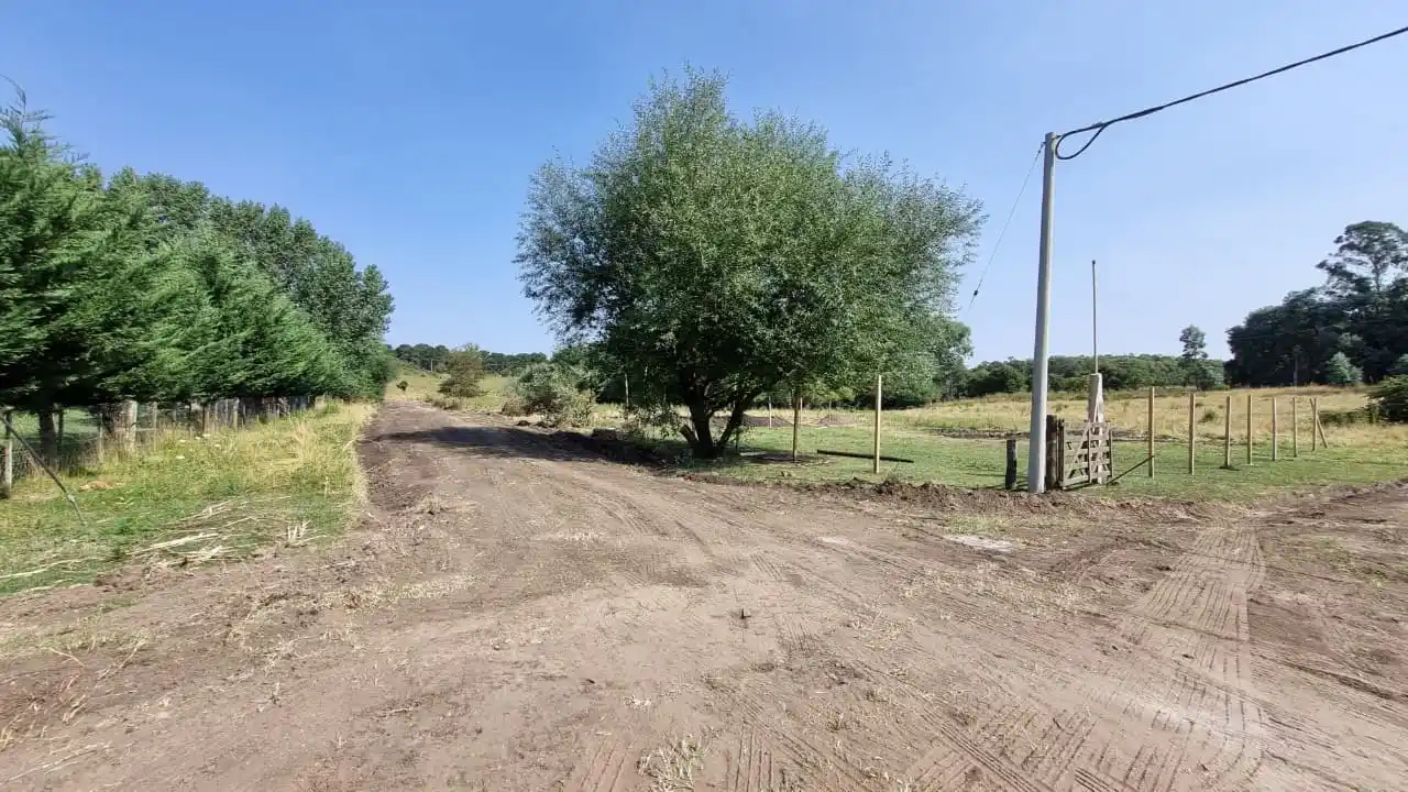 Inmediaciones de Chimango y Pavón, el lugar donde ocurrió la agresión.