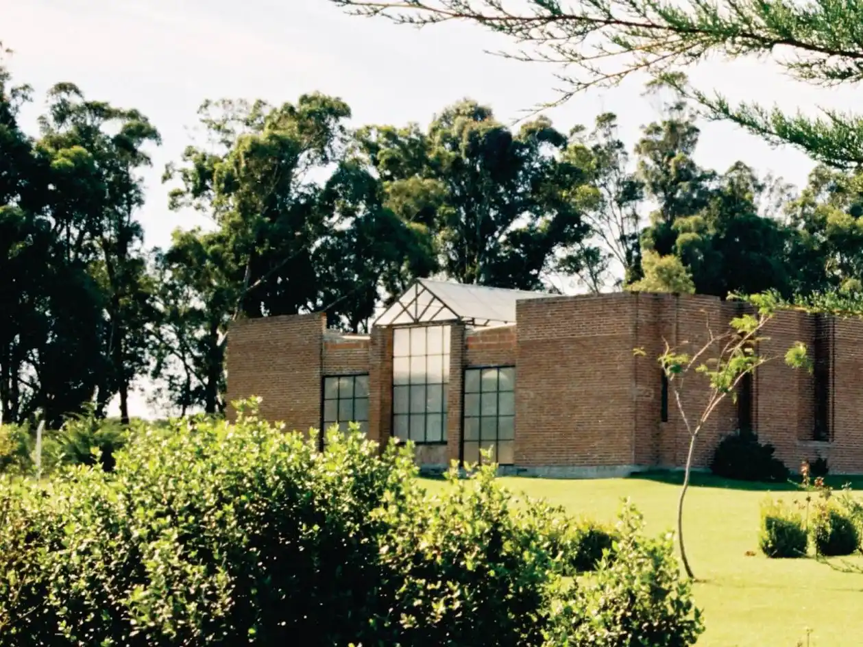 "Estos despidos no solo afectan a los trabajadores y sus familias", dijeron.