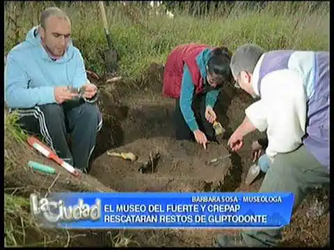 El Museo del Fuerte y CREPAP rescatarán restos de gliptodonte