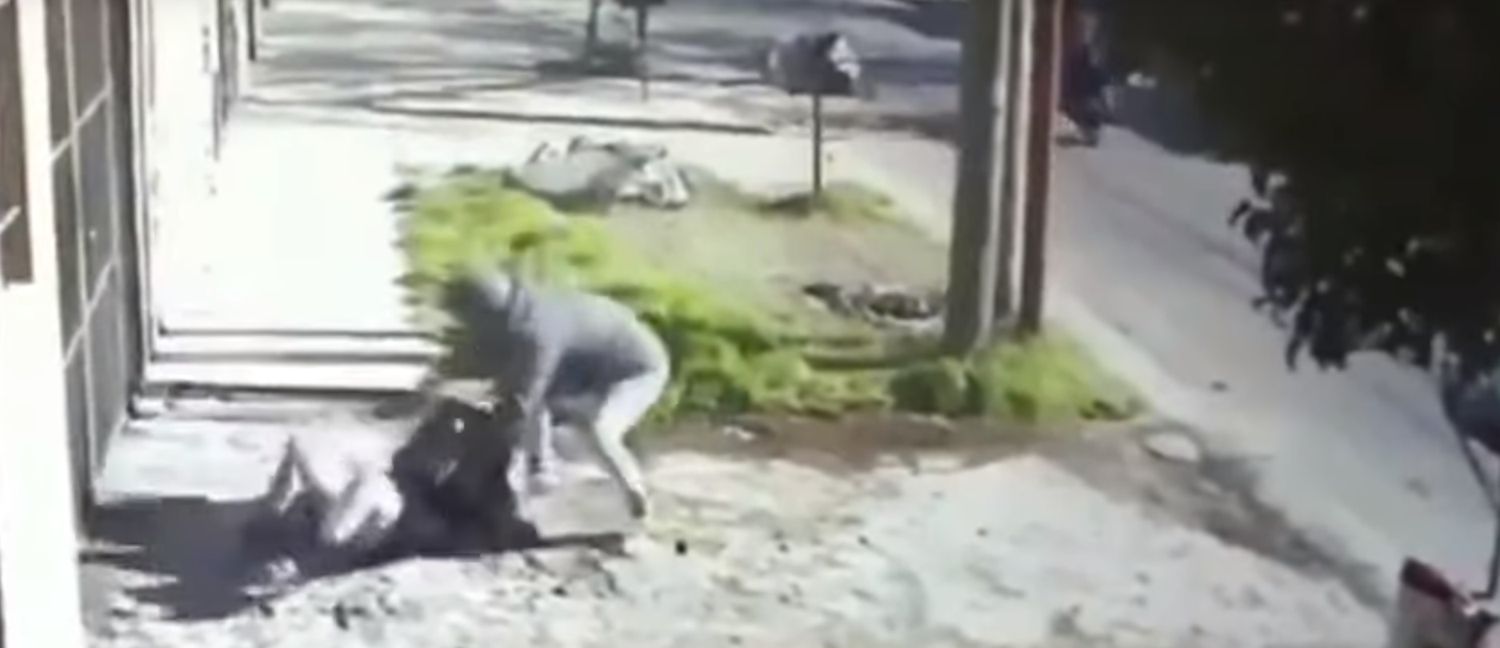 Video brutal: motochorros golpearon y arrastraron a mujer para robarle la cartera