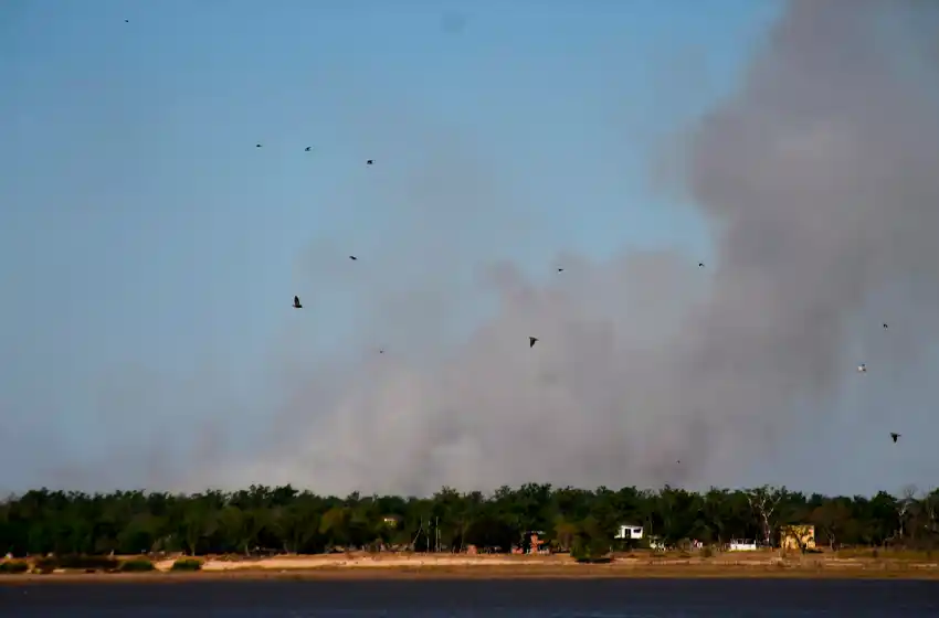 Continúan las quemas en las islas: brigadistas combaten un foco que ya arrasó más de 15 mil hectáreas