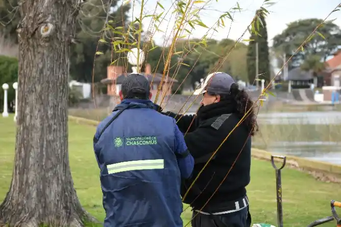 Chascomús amplía su arbolado urbano con nuevas especies