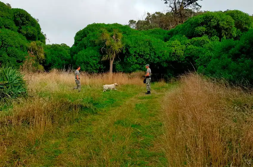 Retoman la búsqueda de Claudia Repetto en Acantilados