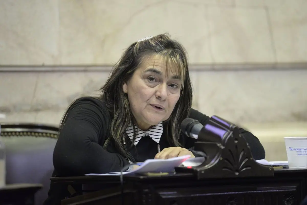 Una diputada bonaerense pidió que la Legislatura acompañe la marcha contra la Ley de Propiedad Privada