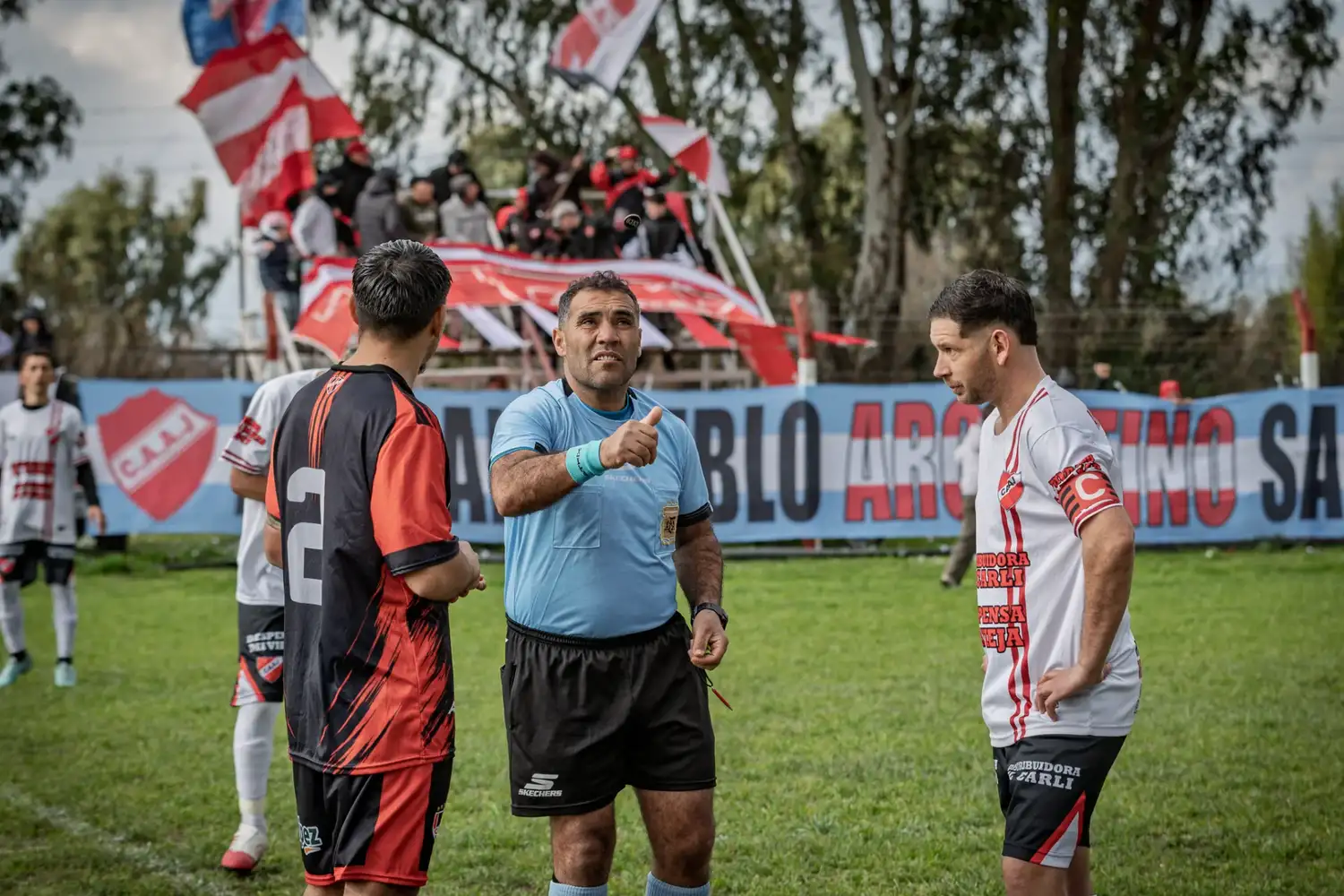 bicho-casca - 8